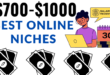 Best Online Niches To Make Money Online
