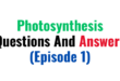 Photosynthesis Questions And Answer Quizes (Episode 1)