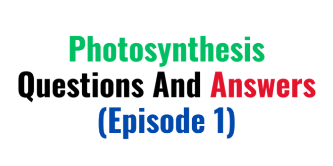 Photosynthesis Questions And Answer Quizes (Episode 1)