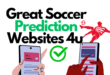 Great Soccer Prediction Websites You Need To Know